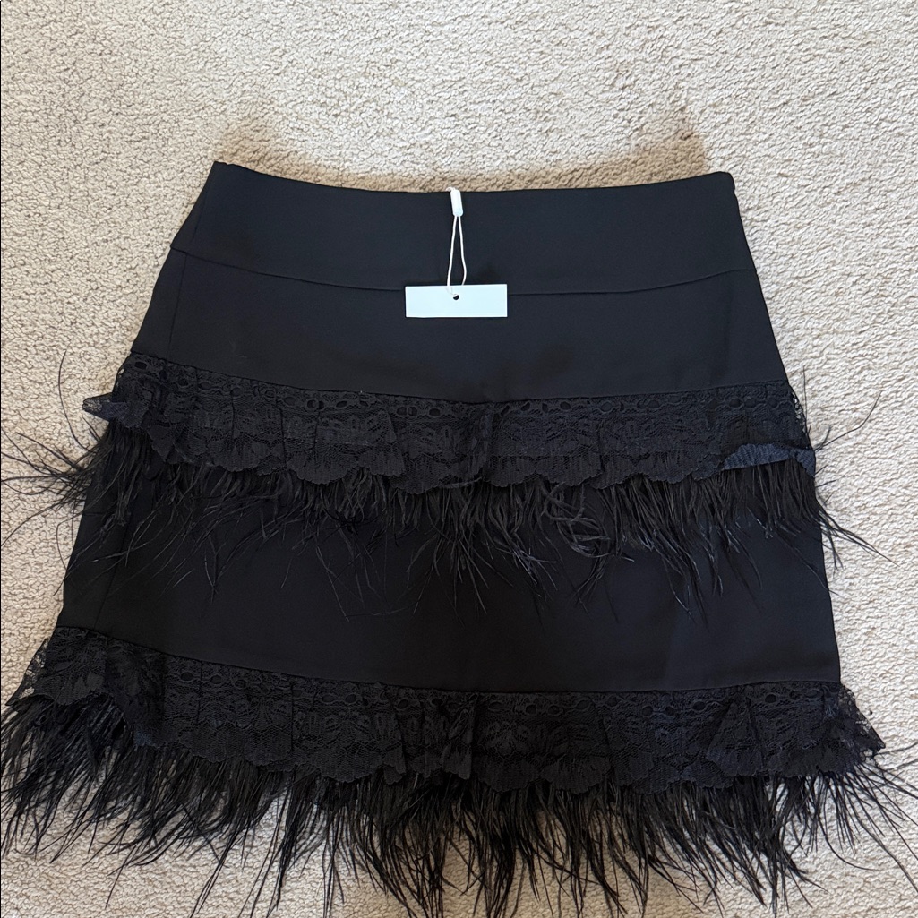Endless Rose Black Lace And Feather Mini Skirt